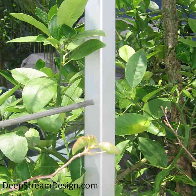 A close-up photo showing how stainless-steel rods, inserted through aluminum uprights, make an effective modern trellis.