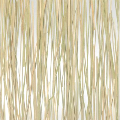 Studio photo of a sample of 3-form-beargrass Varia Ecoresin with vertically oriented gold and golden green Beargrass embedded in a clear resin.