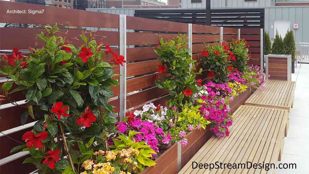 A roof deck privacy screen crafted with Cumaru tropical hardwood and anchored by Mariner wood planters create a private roof top sitting area with benches and a modern wood trash receptacle. The wood planters have waterproof liners inside and are filled with bright colorful flowers that are growing up the privacy screen for a trellis effect creating a natural environment in the center of an urban area.