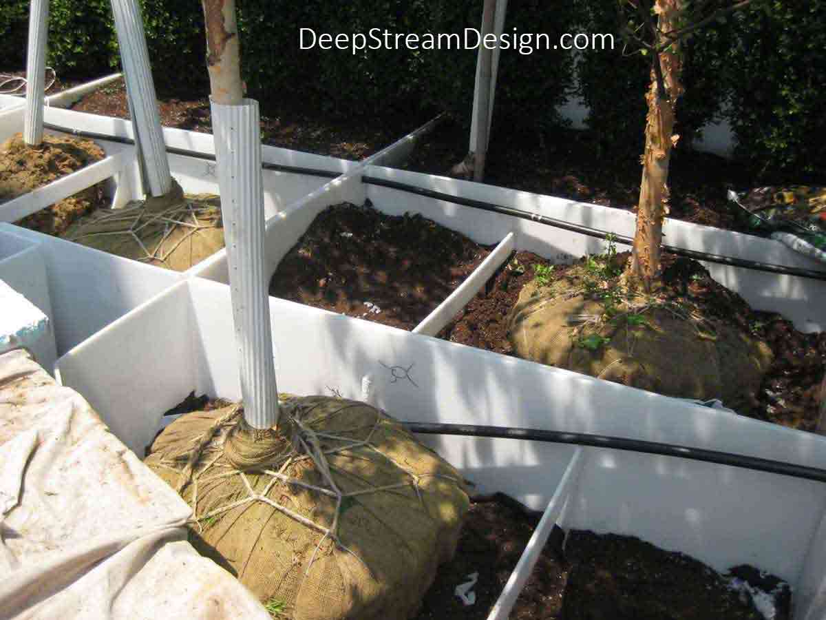 A Custom Welded Modular Planter Liner with hidden drainage and drip irrigation for a large commercial roof deck landscaping installation holding partially planted trees and bushes.
